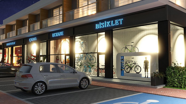 Four Seasons Life 2 020