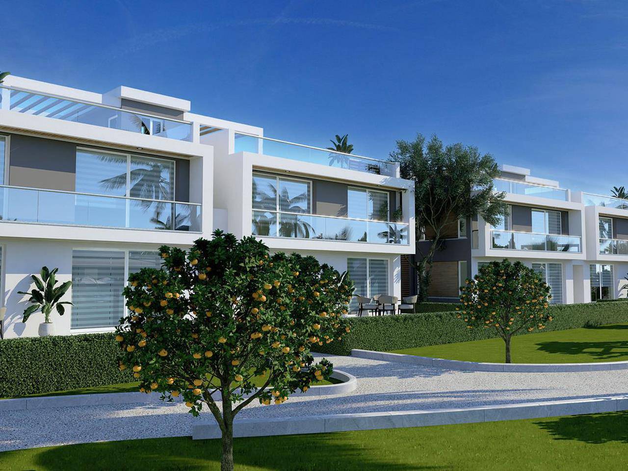 Four Seasons Life 3 044