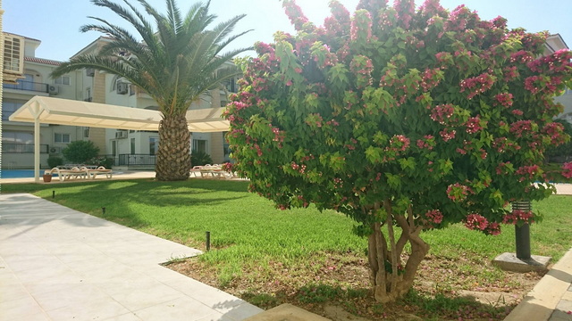 Sunrise Beach Club 018