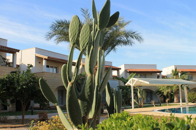 Sunrise Beach Club 030