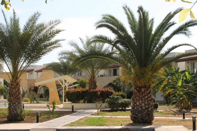 Sunrise Beach Club 032