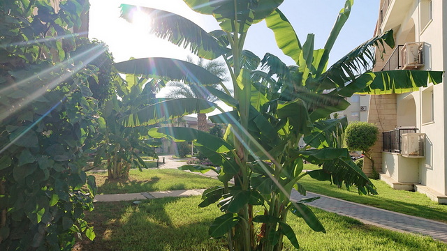 Sunrise Beach Club 055