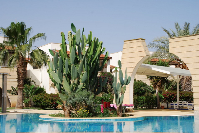 Sunrise Beach Club 060