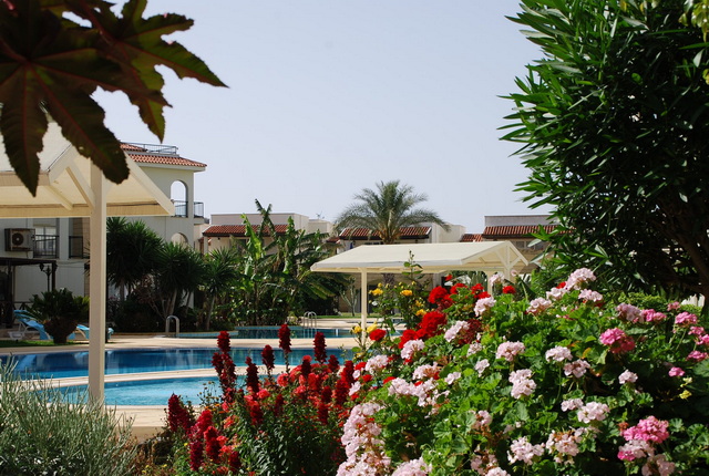 Sunrise Beach Club 061