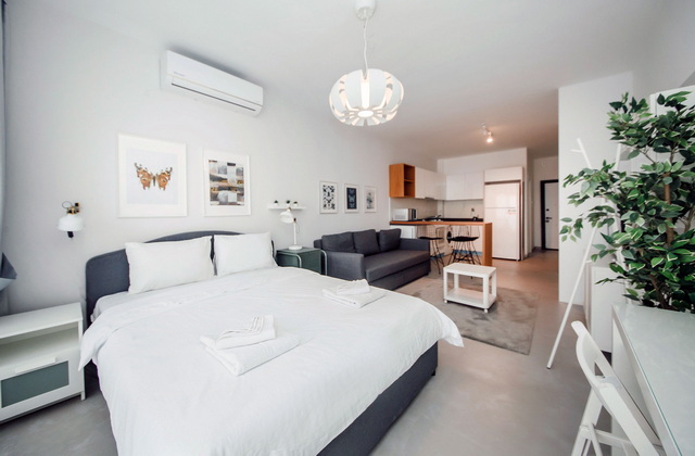 Caesar Blue Studio 003