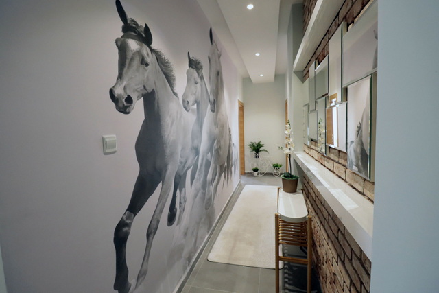 Caesar Resort 4+1 Penthouse 012